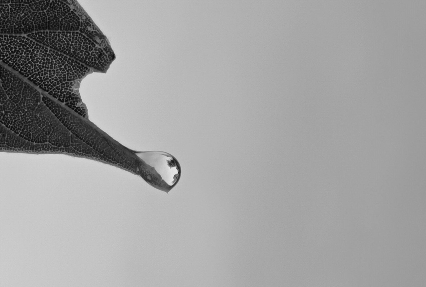 МАРЮС БУРОКАС “ДІМ НЕЗДІЙСНЕННИЙ”