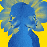 ЯК КУЛЬТУРНА СПІЛЬНОТА ЛИТВИ ДОПОМАГАЄ УКРАЇНІ